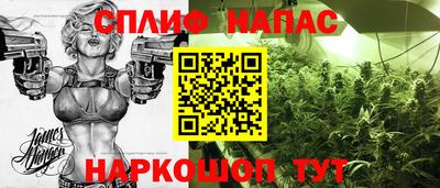 стаф Обь
