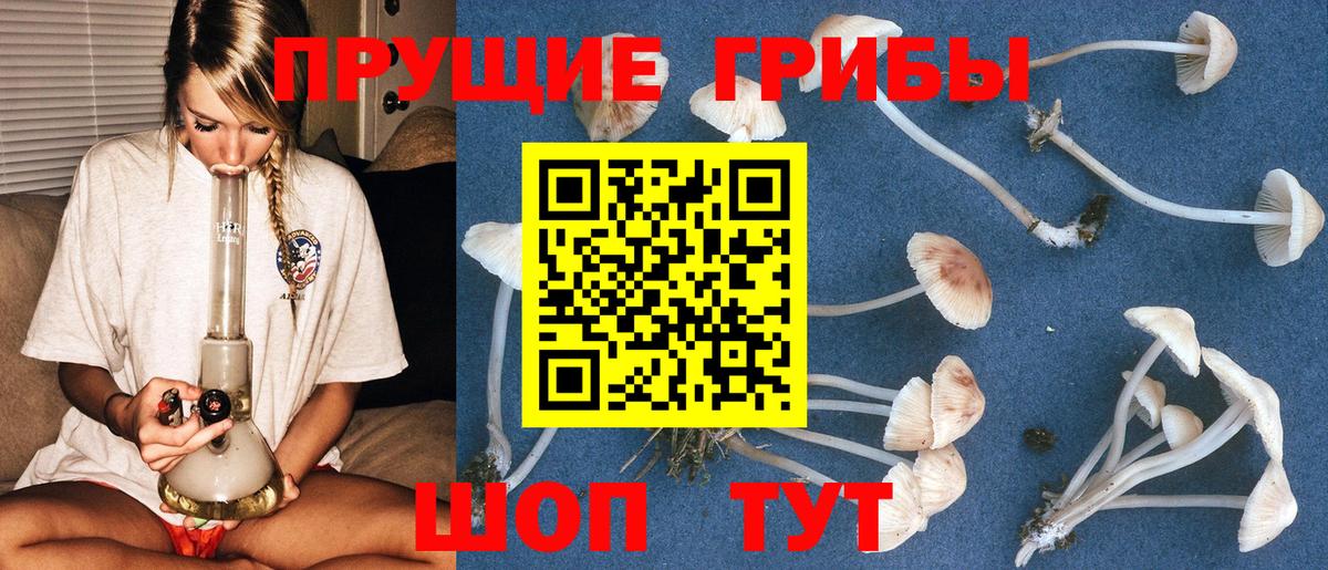 Псилоцибиновые грибы Magic Shrooms  Вход с VPN  сколько стоит  Саров 